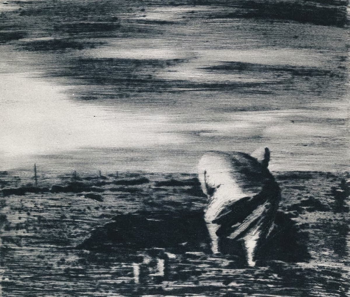 Осінь у полі