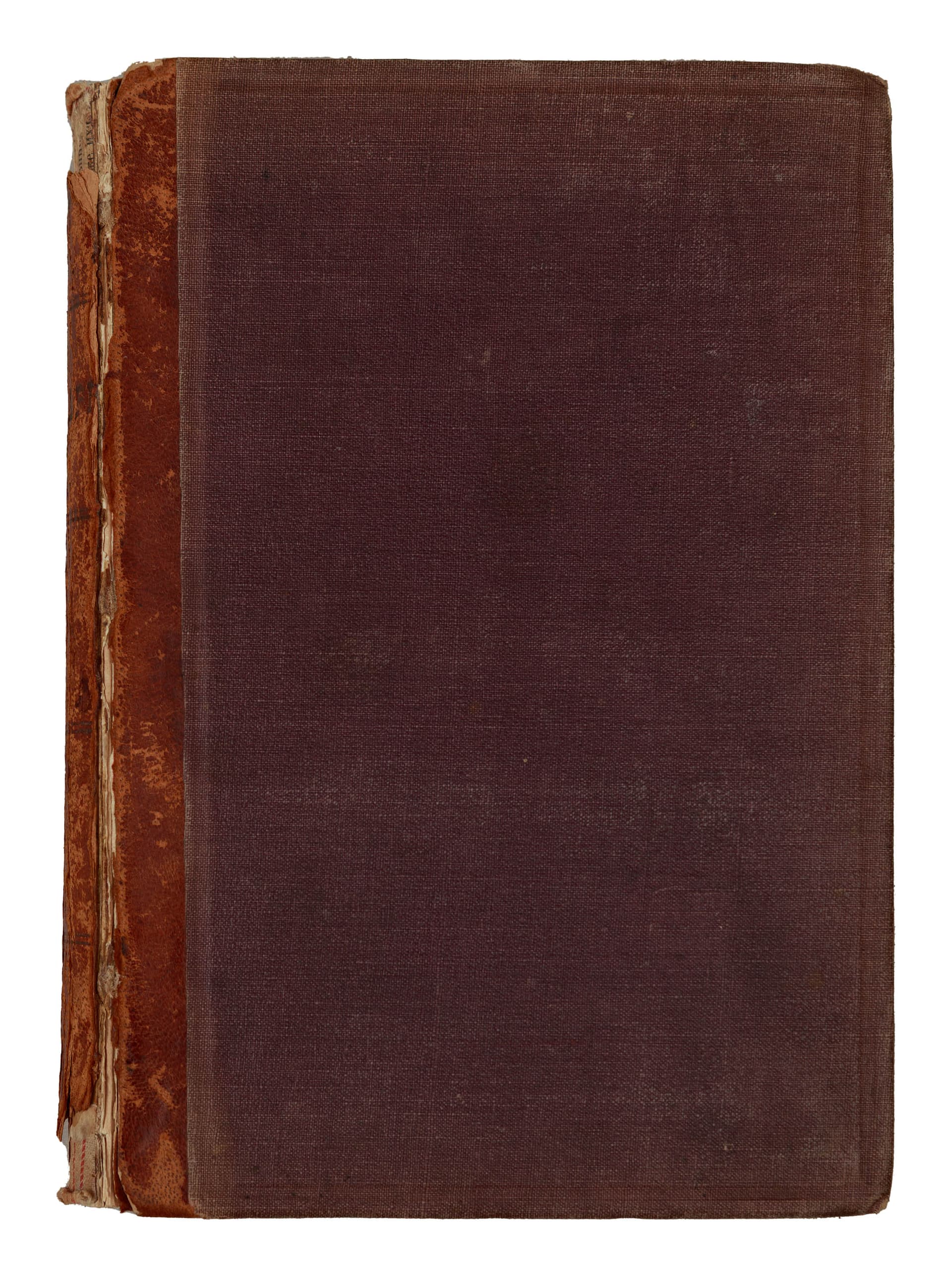 main photo