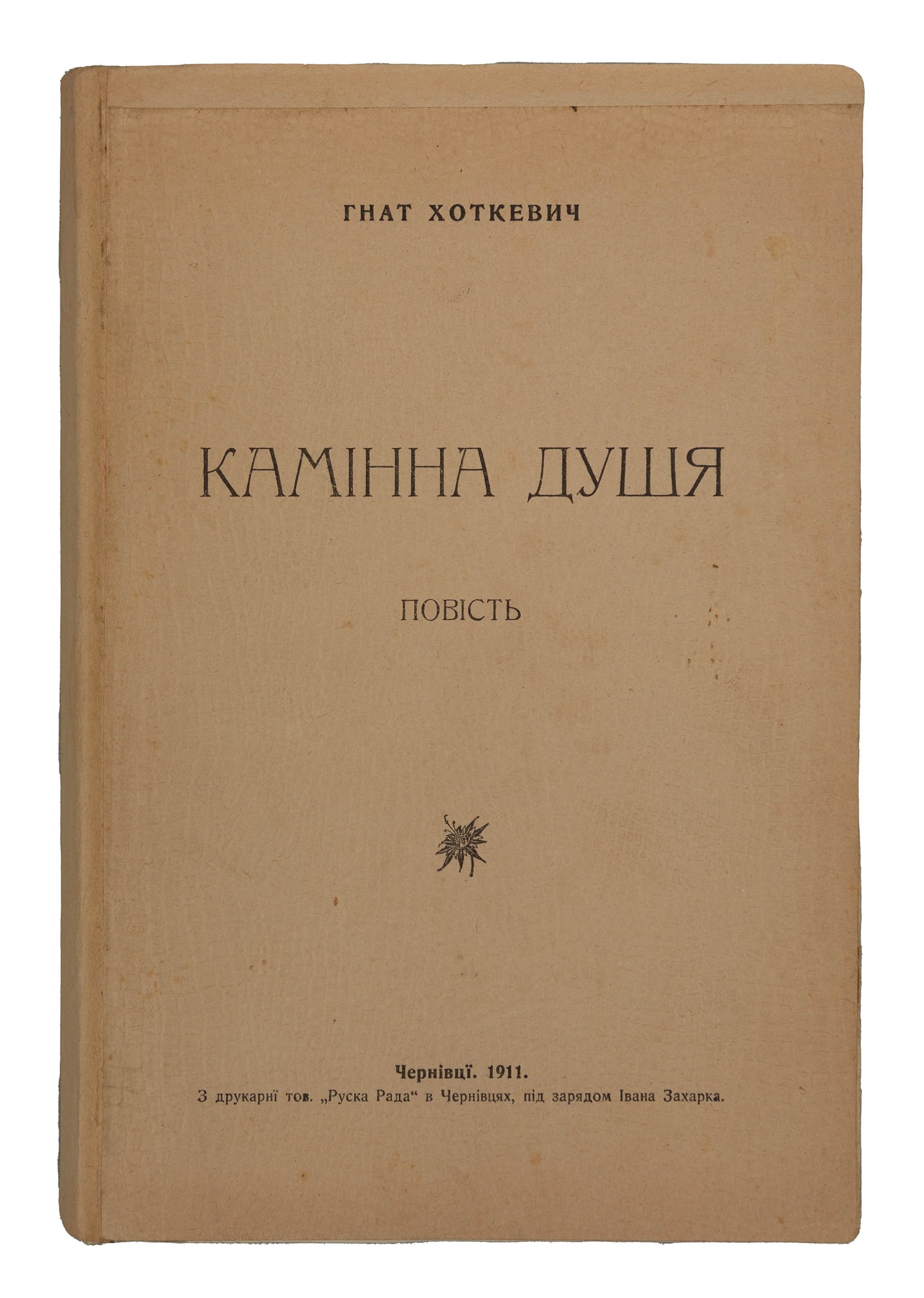 main photo