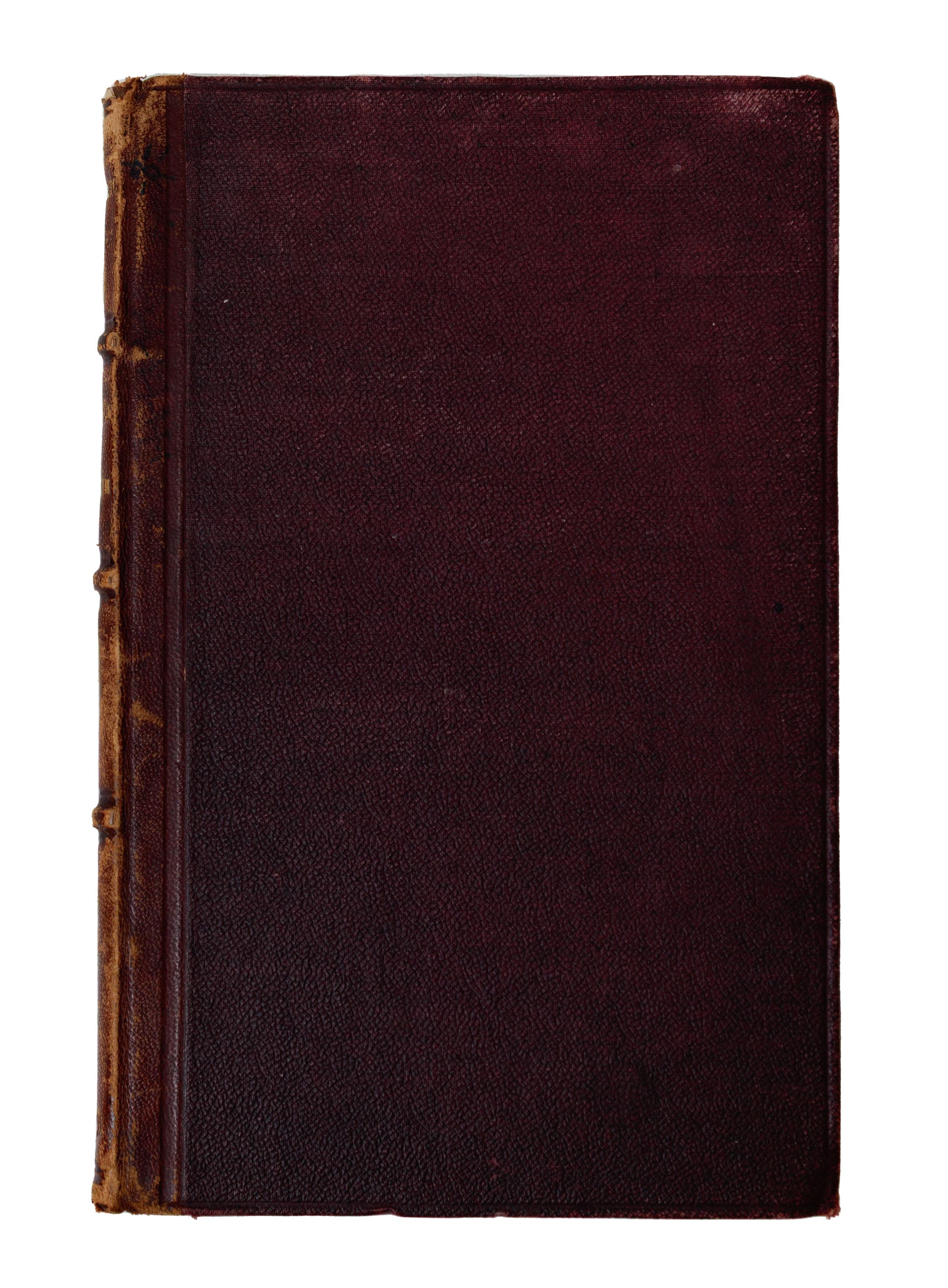 main photo