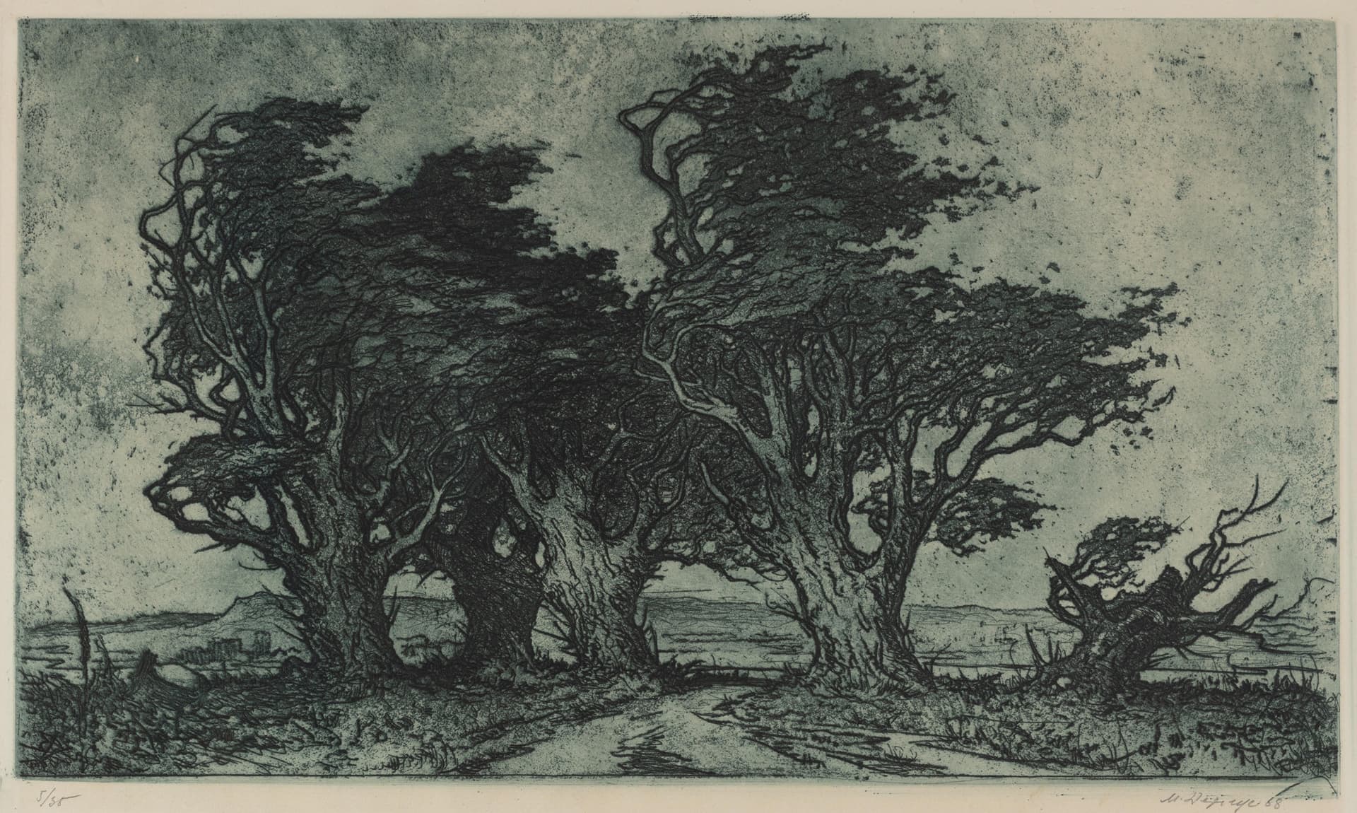 main photo