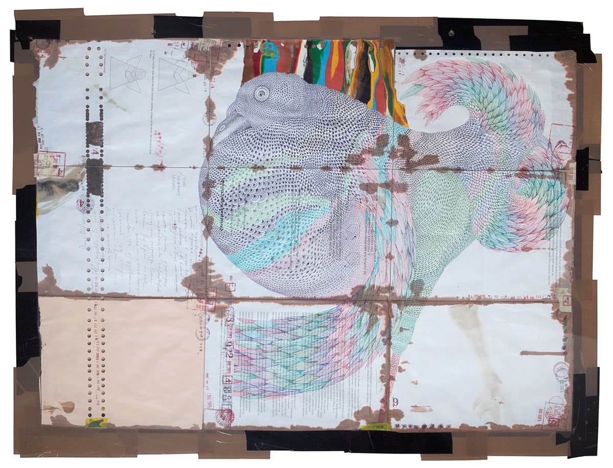 Птахотерапія