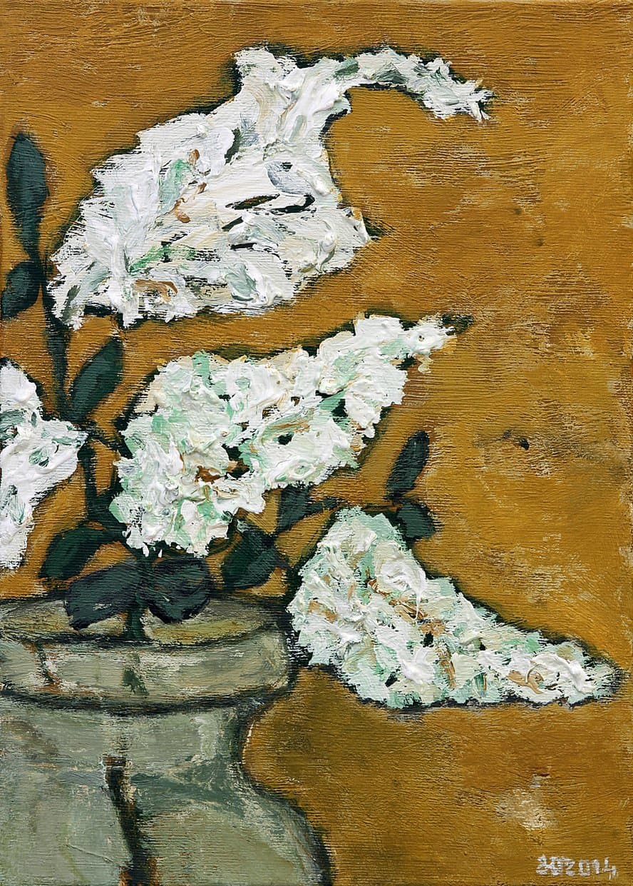 Біла акація