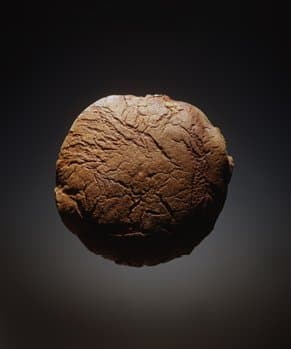 Космос українського хліба