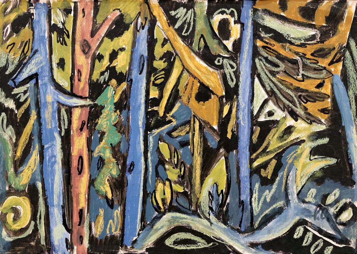 Стрункі смерекові стовбури