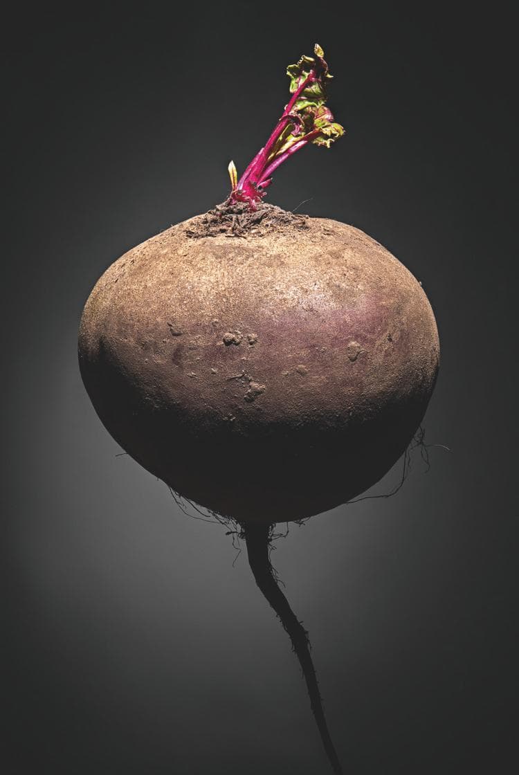 Буряк