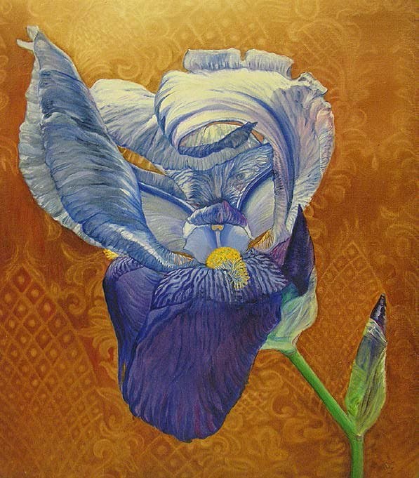 Blue Iris