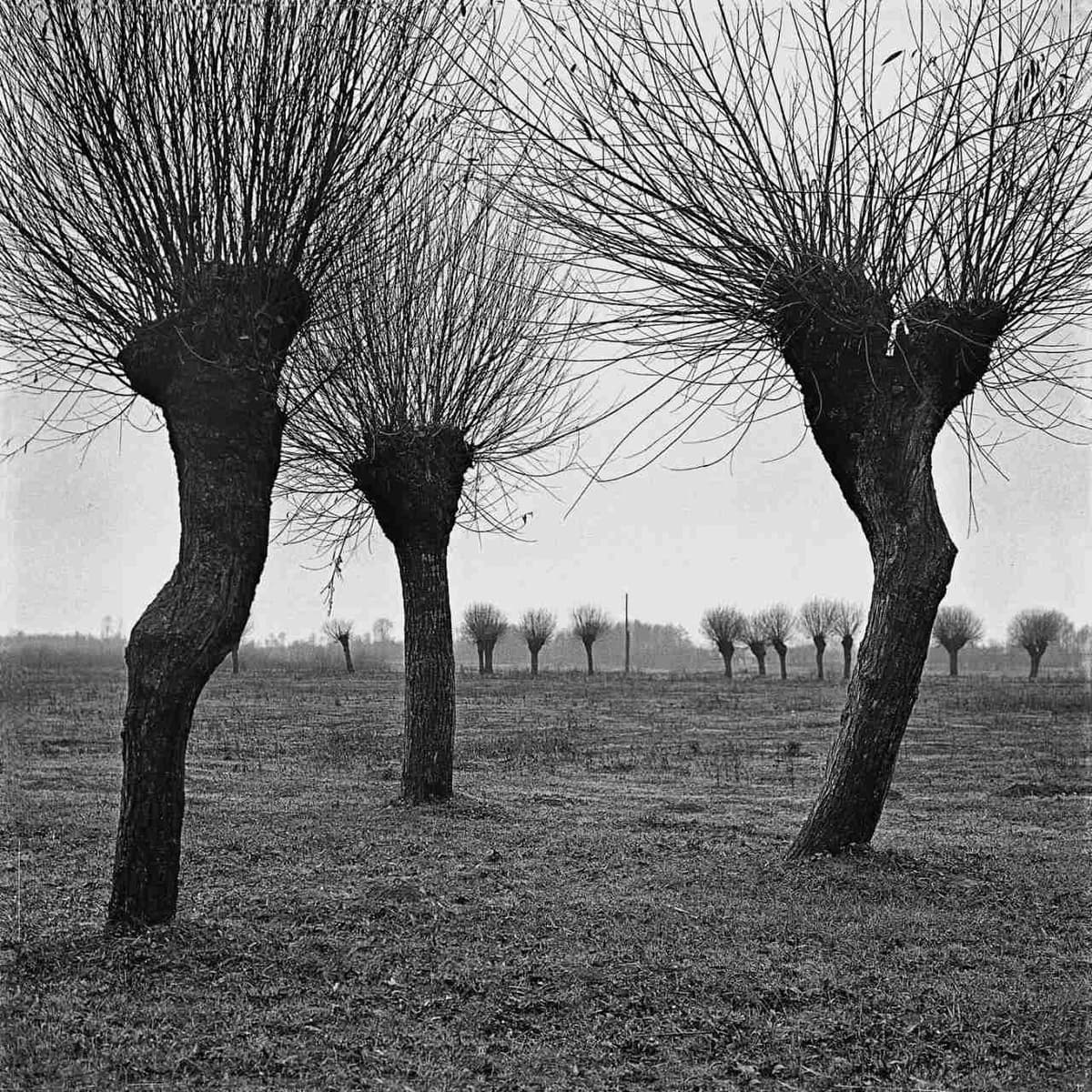  Село Рожнів, Косівський р-н, Івано-Франківська обл