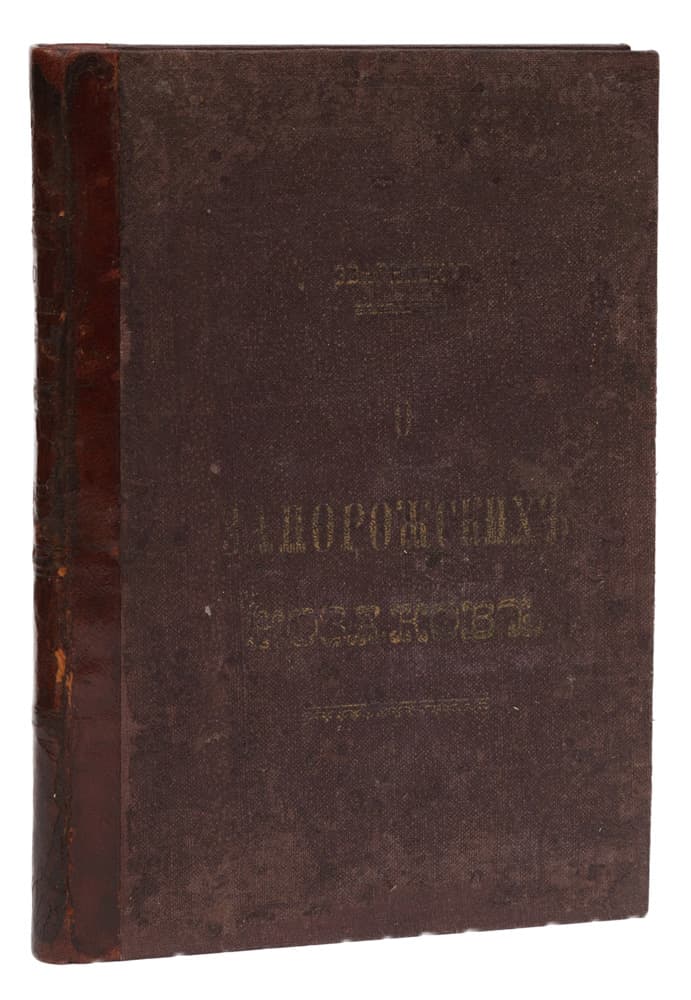 main photo