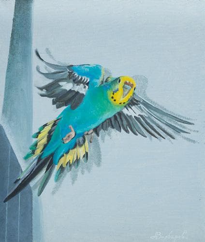 Незачинені дверцята