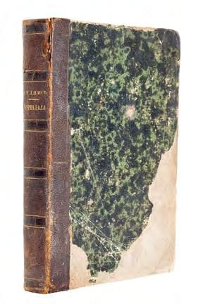 Чорна рада, хроніка 1663 року